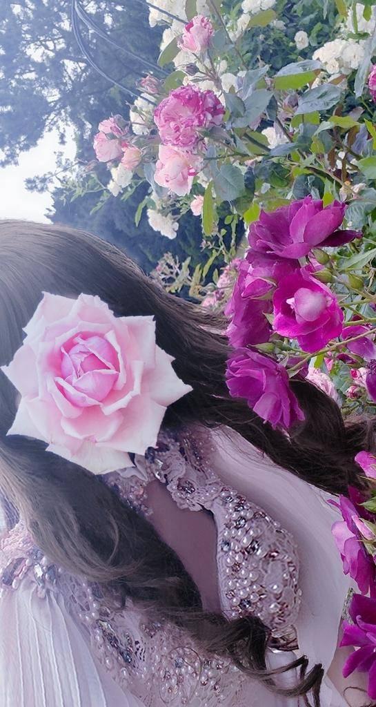 松嶋ななみ の しゅっきん