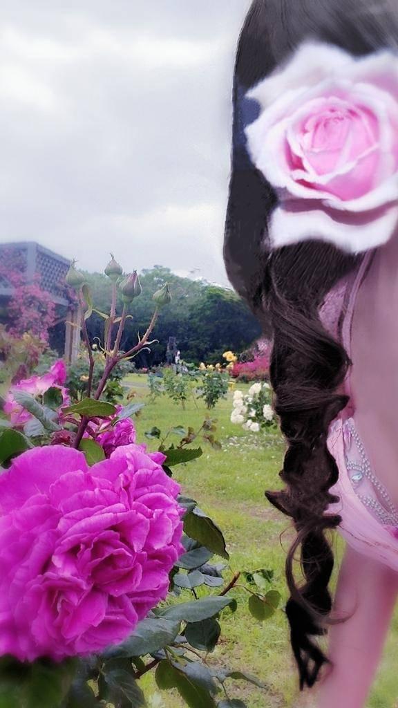 松嶋ななみ の しゅっきん