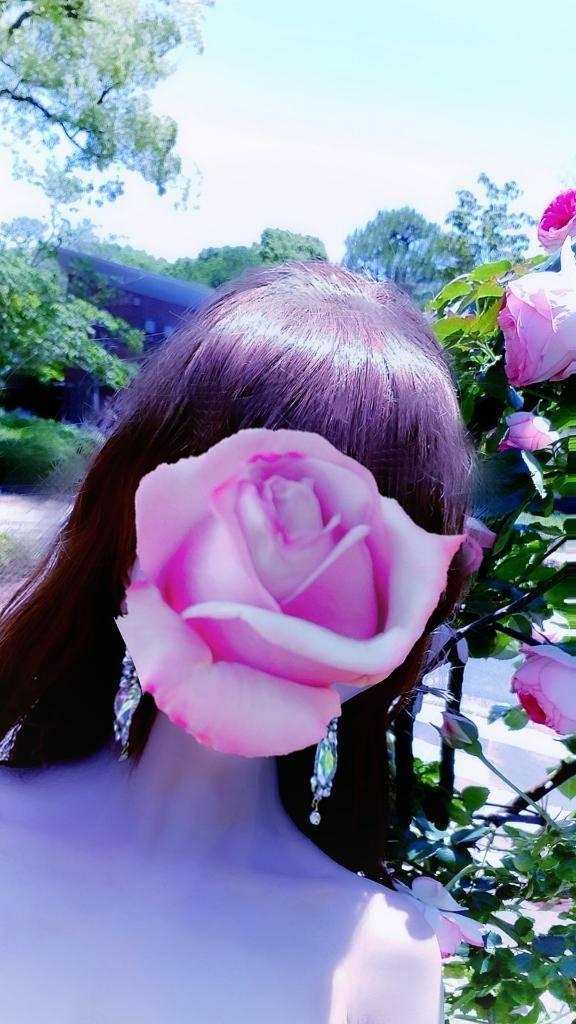 松嶋ななみ の しゅっきん
