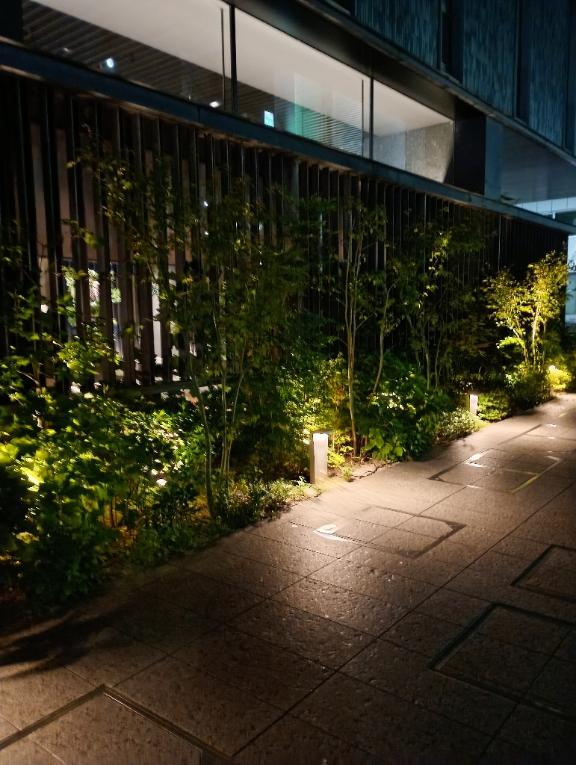 沢口やすえ の お礼です🌟