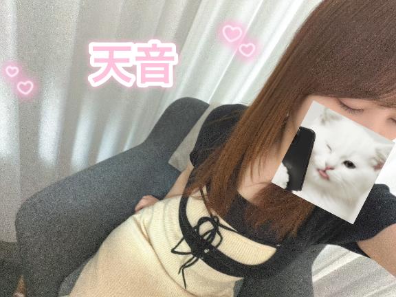 天音-AMANE- の 出勤🐱
