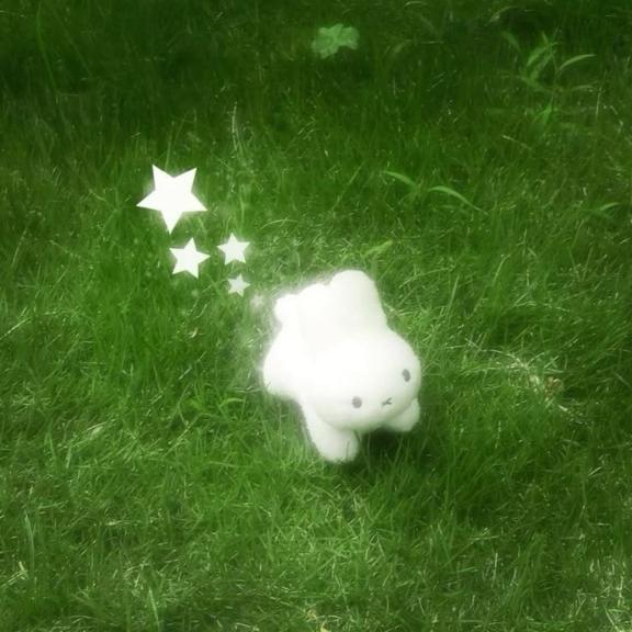 きほ の お礼🤍