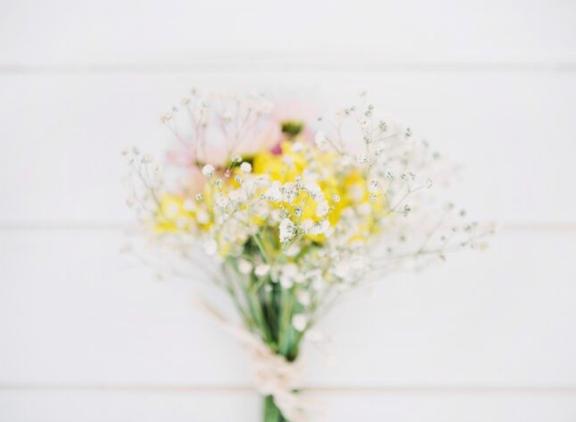 市川 あめ -[桜]- の Fさん🌹お礼
