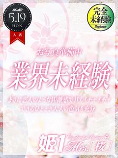 月城 あいり -[桜]-