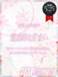 白河 みく -[桜]-
