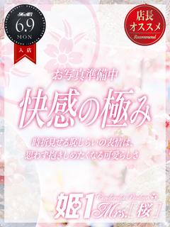 時雨 みかな -[桜]-