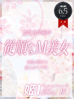 水沢 こはね -[桜]-
