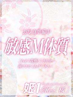 野薔薇 さち -[桜]-