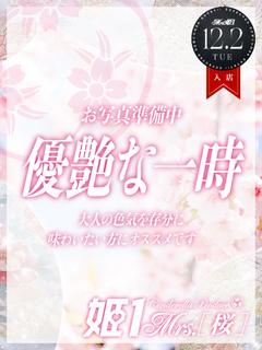 雪村 まゆ -[桜]-