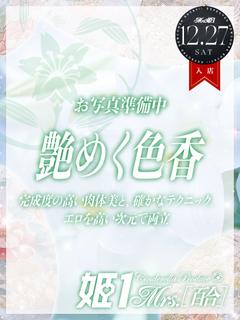 白川 レイラ -[百合]-