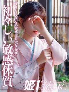 八乙女 さくら -[桜]-