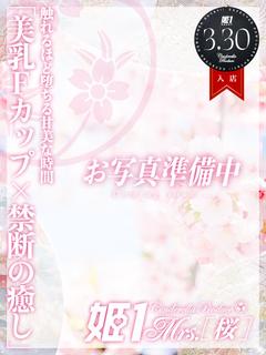 草薙 しずか -[桜...