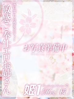 滝本 かえで -[桜]-