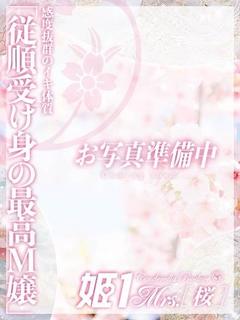 川島 あすみ -[桜]-