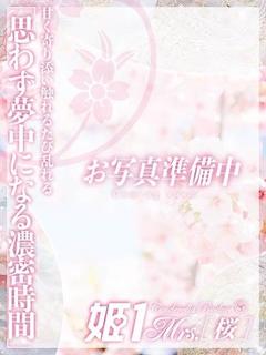 須藤 まゆ -[桜]-