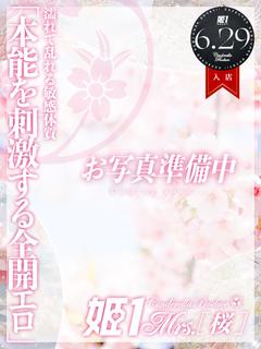 海野 ぼたん -[桜]-
