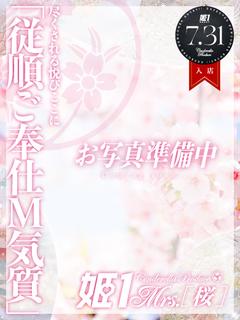 澄川 かなで -[桜]-