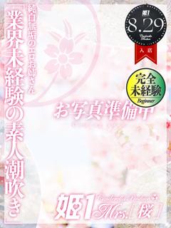 宮根 さら -[桜]-