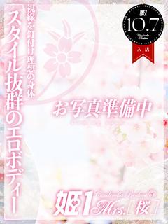 小泉 なつき -[桜]-