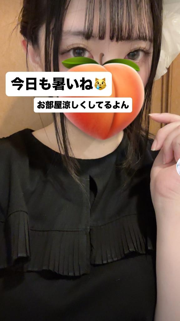 もも の 暑いね😿😿