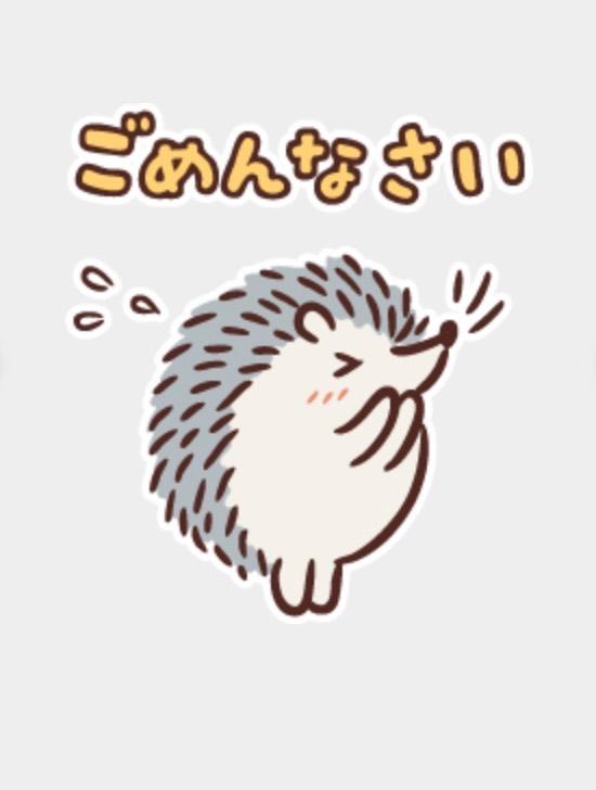 伊吹　さら【ノワール】 の ごめんなさい💦