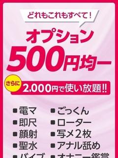 全オプション500円