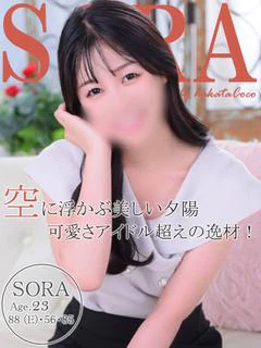 ソラ～人懐っこい未経