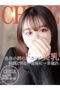 チセ～小柄... (22)