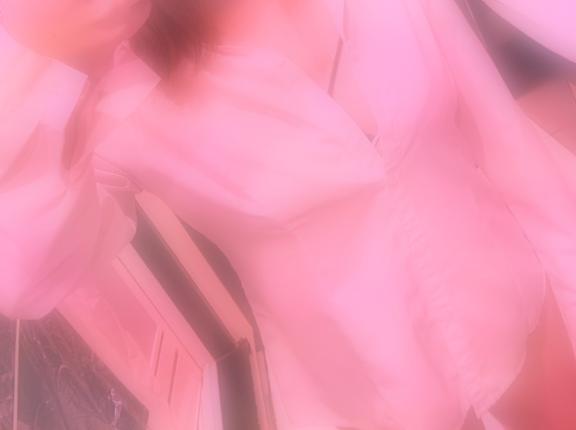 南瀬（みなせ）ときね の こんばんは❗️