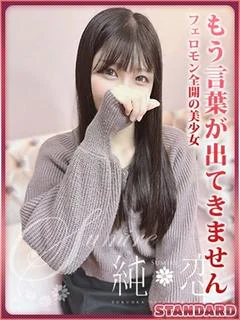 るの STANDAR...