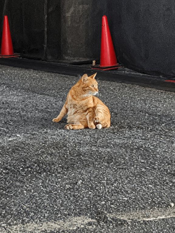 ★ひなこ★ の あぐらはかきません