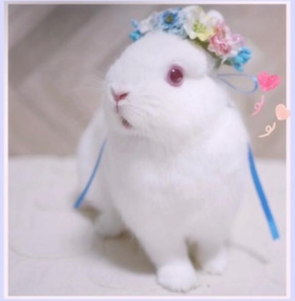 泉吹【いぶき】VIP の 22:30より