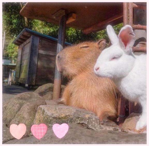 泉吹【いぶき】VIP の ほわほわ𓂃◌𓈒𓐍