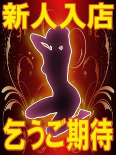体験れな