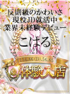 こはる
