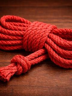 凛様(りん)女王様