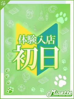 ねね【体験入店】