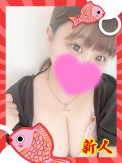 ホッケ
