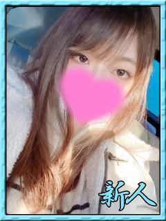 ヤリイカ　槍烏賊