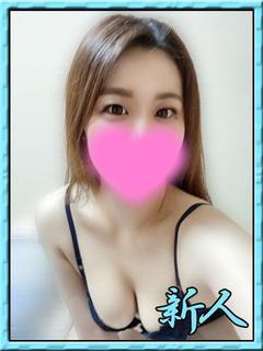 アオリイカ　障泥烏賊
