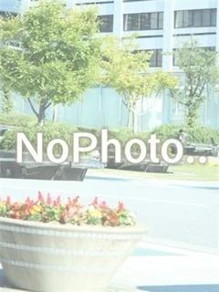 あこ
