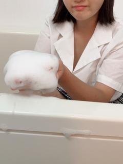 かりん