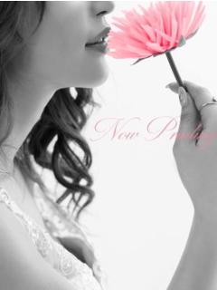 新人・菜七(ナナ)