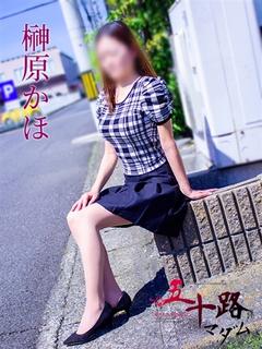 榊原かほ