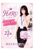 【はる】お... (22)