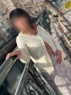 葵 -あおい-