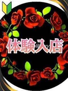 さえこ