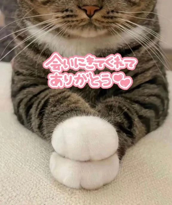 23日(水)のありがとう❤️