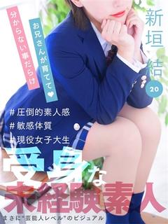 新垣 結