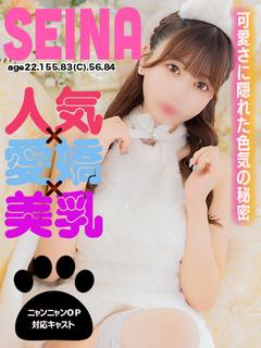 せいな🐾【人気×愛嬌×美乳】